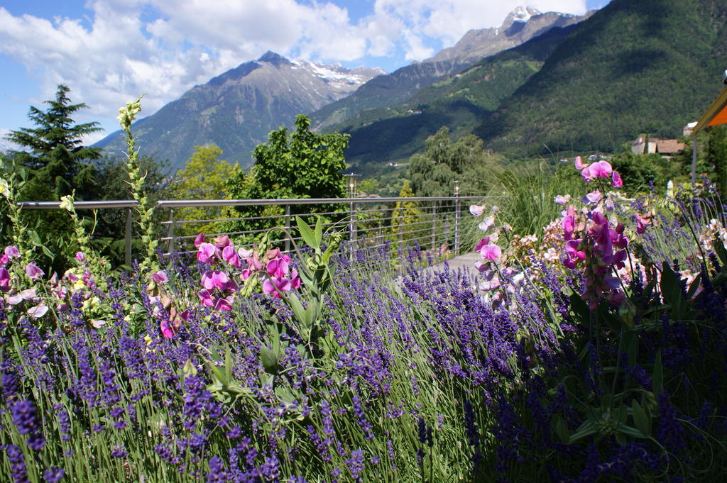 Marini's Giardino